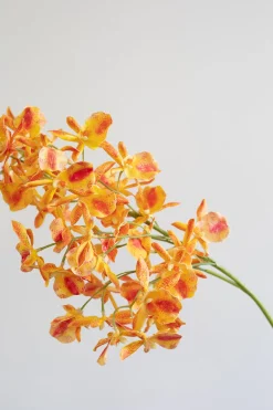 Artificial Flowers - Amber Stem orchid