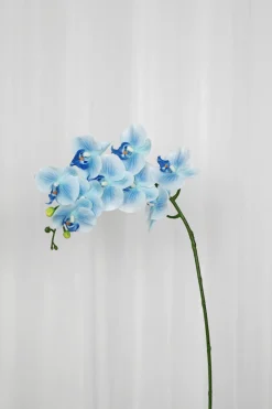 Artificial Flowers - Blue Orchid (9 heads)