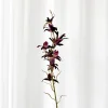 Artificial Flowers - Burgundy Dendrobium