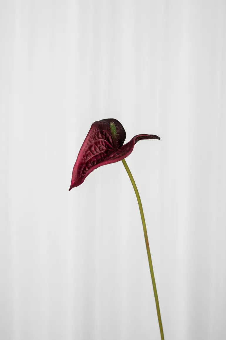 Artificial Flowers - Burgundy Anthurium small