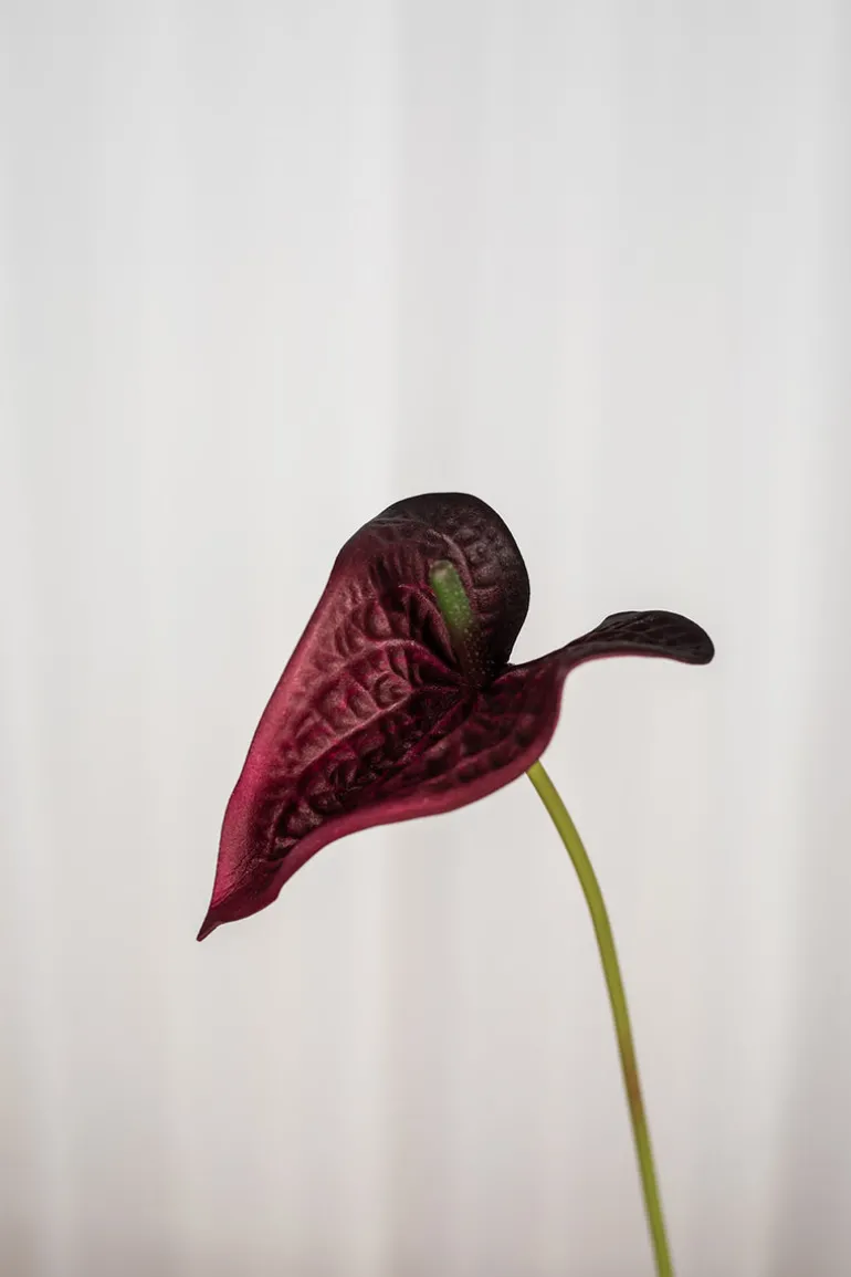 Artificial Flowers - Burgundy Anthurium small