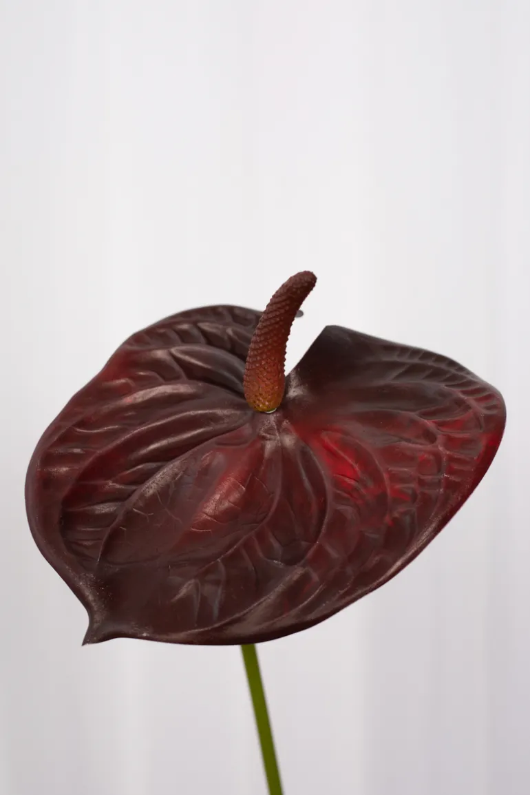 Artificial Flowers - Burgundy Anthurium