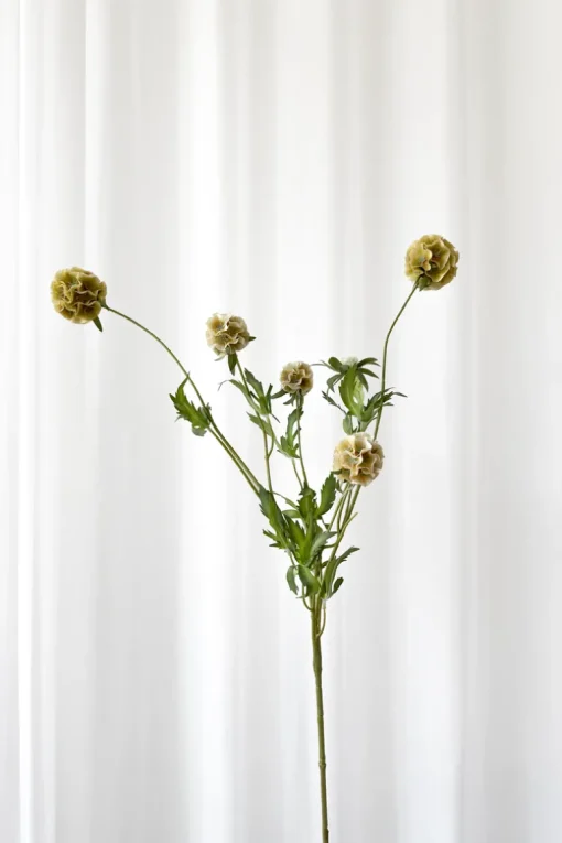 Artificial Flowers - Dusty yellow Scabiosa Seed Pod (multible heads)