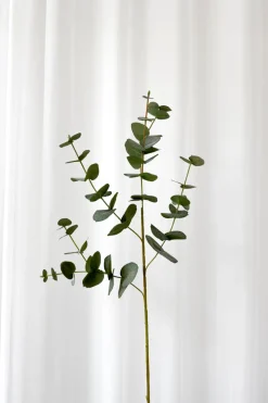 Artificial Flowers - green eucalyptus