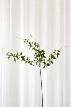 Artificial Flowers - Green Green clematis branch