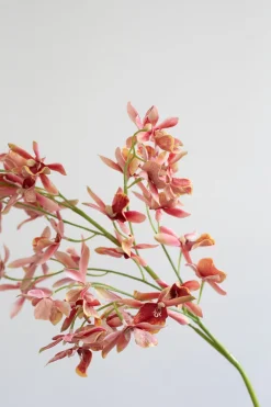 Artificial Flowers - Rose Stem orchid