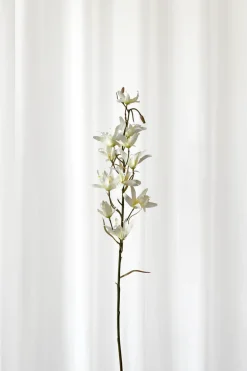 Artificial Flowers - White Dendrobium