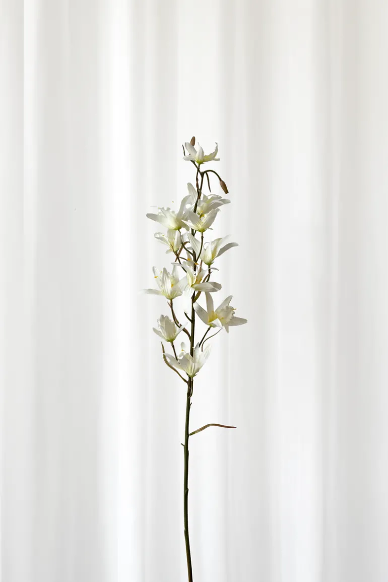 Artificial Flowers - White Dendrobium