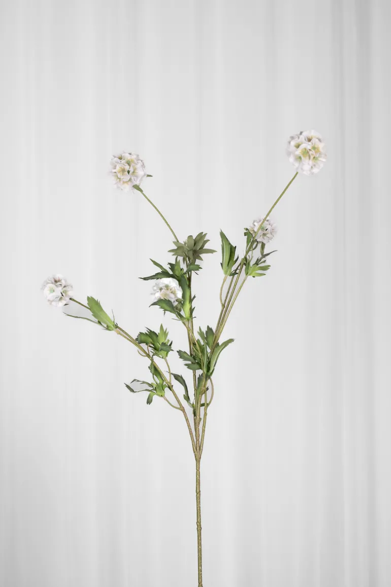 Artificial Flowers - White Scabiosa Seed Pod (multible heads)