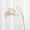 Artificial Flowers - White Orchid (21 heads)