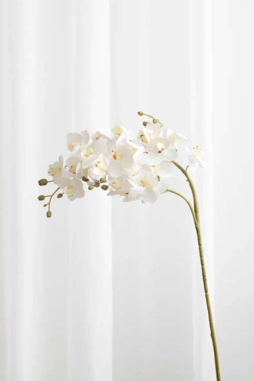 Artificial Flowers - White Orchid (21 heads)