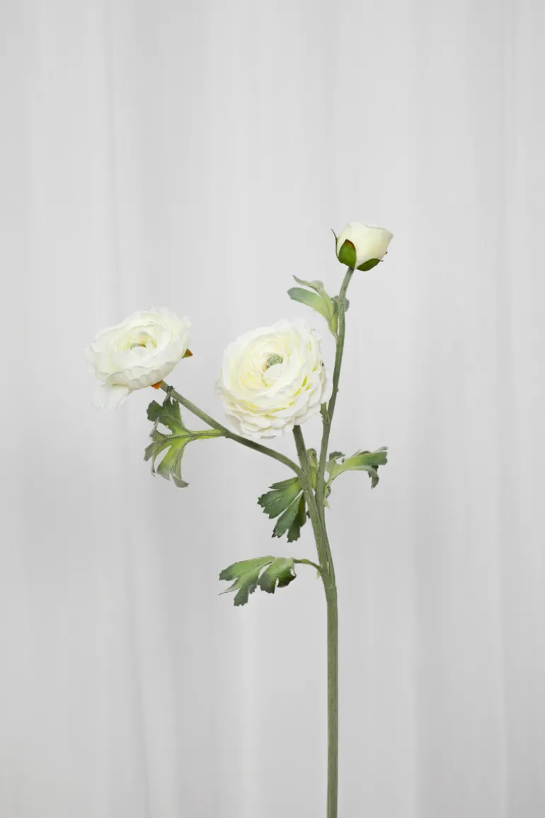 Artificial Flowers - White Ranunculus