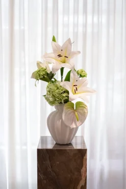 Buketter - Buket 6 - stjerneskud