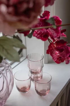 Lina Drinking Glass - Rose