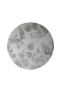 Shade Mirror - Silver Antique Round