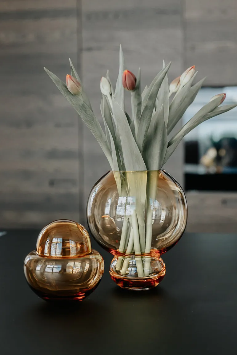 Vincent Bonbonniere - Amber